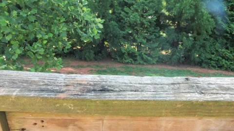 Wood decay on railing of deck Video stock 336730539