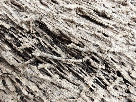 Wood decaying texture Stock Photos