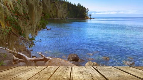 Wood Deck Table Ocean Bay Sea Landscape Background Stock Footage 89186764