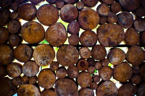 Wood disks background interior design Stock Photos