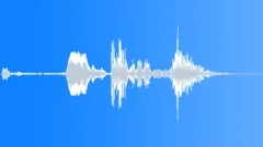 WOOD, DOOR, ANTIQUE Sound Effect