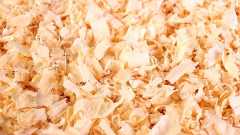 Wood excelsior pet bedding Stock Footage 102747537