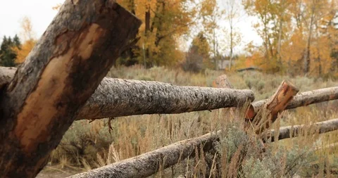Wood Fence Stock Footage 101293344