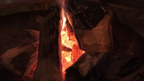 Wood fire and flame Stock Footage 202111694