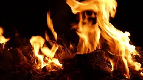 Wood fire bonfire Stock Footage 198288654