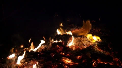 Wood fire bonfire Stock Footage 198289788