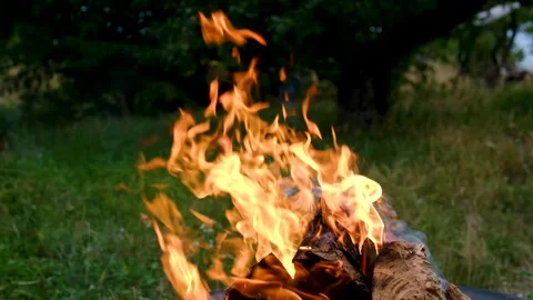 Wood Fire Burning with Bright Flames in Outdoor Metal Fire Pit on Green Grass Stock Footage 345170570