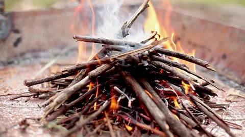 Wood fire burning in fire pit Stock Footage 63305644