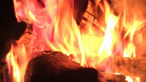 Wood fire burning Video stock 91788236