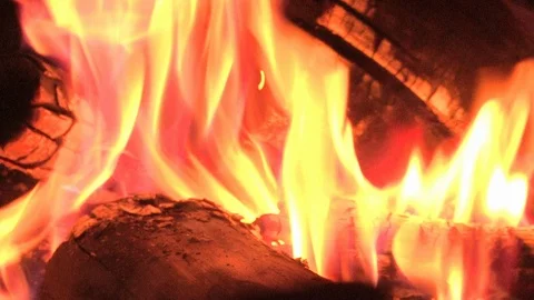 Wood fire burning Video stock 91788399