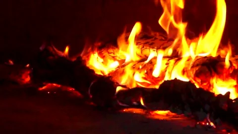 Wood fire burning Stock Footage 137135692