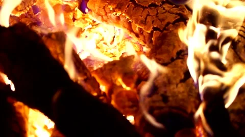 Wood fire burning Stock Footage 137135996
