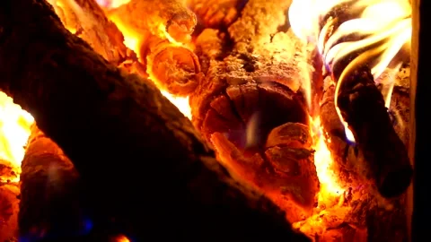 Wood fire burning Stock Footage 137136122