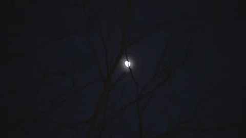 A wood fire burning under the moon and stars on a calm winter night. Stock-Footage 112402750