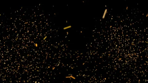 Wood fire ember Stock Footage 339861084