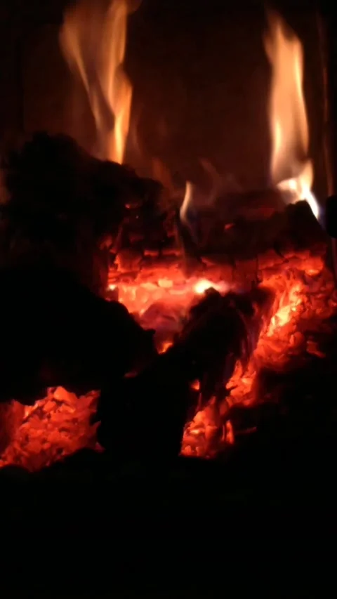 Wood fire in the fireplace Stock Footage 174685104