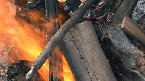 Wood fire Stock Footage 741861