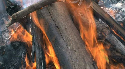 Wood fire Stock Footage 741879