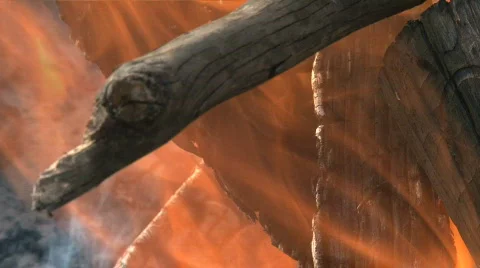 Wood fire Stock Footage 741887