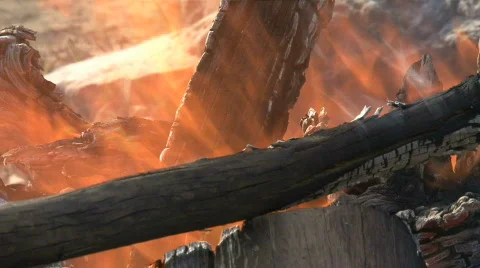 Wood fire Stock Footage 741896