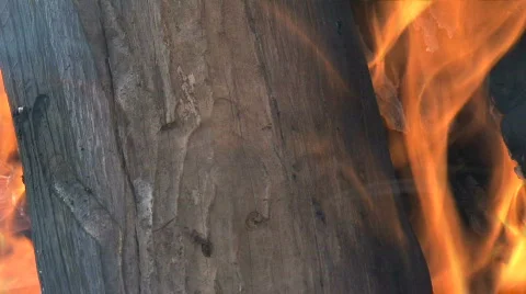 Wood fire Stock Footage 741924