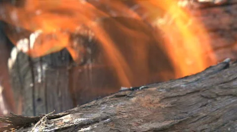 Wood fire Vídeo Stock 741934