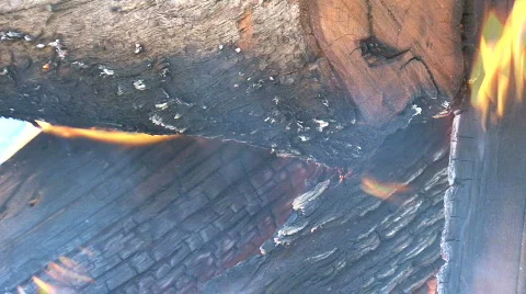 Wood fire Stock Footage 741940