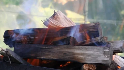 Wood on fire Video stock 8563190