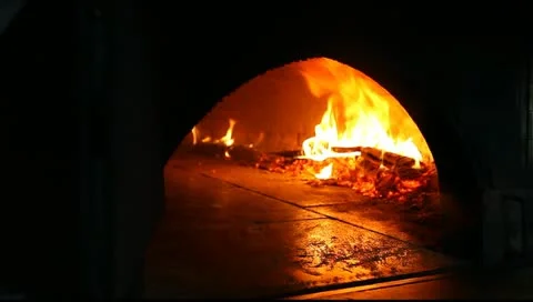 Wood fire Stock Footage 10716064