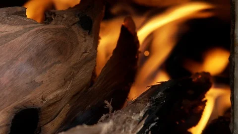 Wood fire Stock Footage 100667037