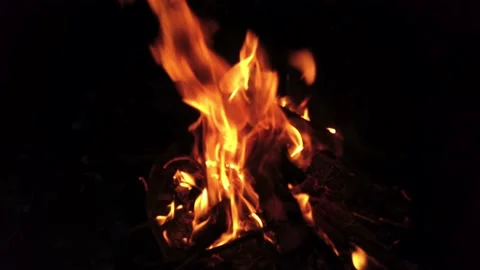 Wood Fire Stock Footage 170111530