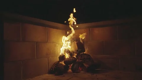 Wood fire Stock Footage 231358464
