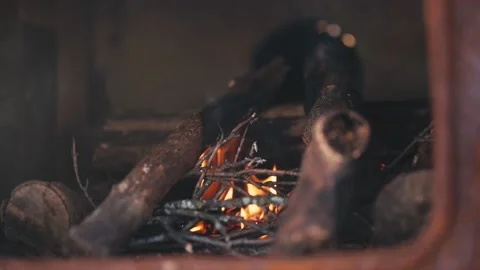 Wood Fire Stock Footage 231824060