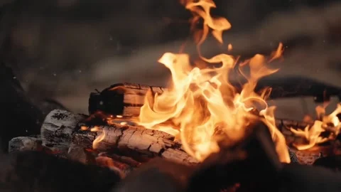 Wood fire forest Video stock 272181140