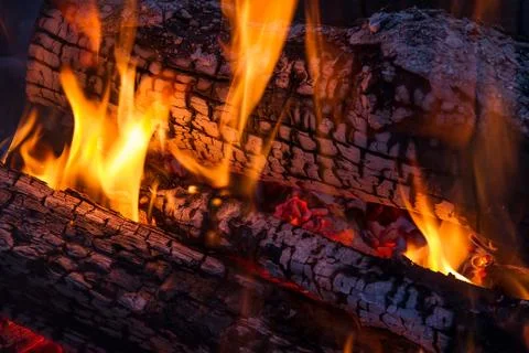 Wood Fire 写真素材