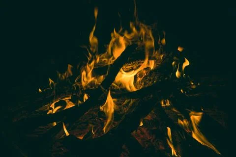 Wood fire. Stock Photos