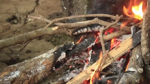Wood fire stove in a rustic kitchen Video stock 277006240