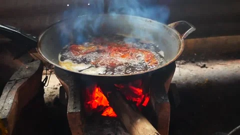 Wood fired chicken Stock Footage 161483497