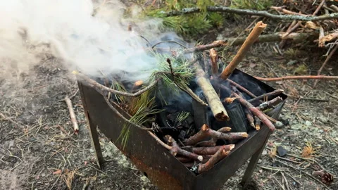 Wood-fired grill with chops of pine tree smoking outdoors. Camping lifestyle Stock-Footage 276717310