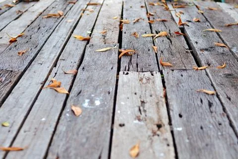 Wood floor with fall leaves Stock Photos