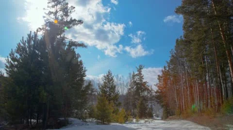 Wood Stock Footage 22110957