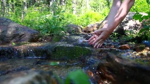 In the wood Stock Footage 42706688