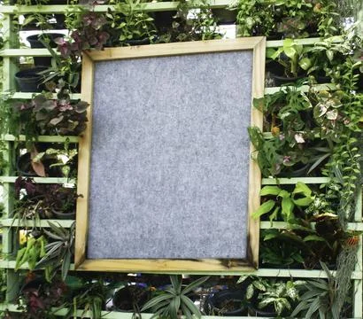 Wood frame on tree wall Stock Photos