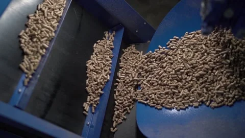 Wood fuel pellets fall on cells of delivering conveyor belt Stock Footage 196017809