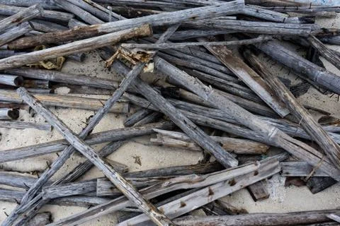 Wood garbage Stock Photos
