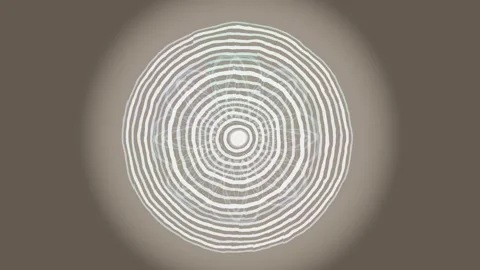 Wood grain pattern showing different growth rings in a circle Stock Footage 337375889