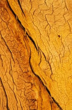 Wood grain Stock Photos