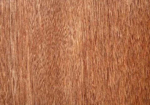 Wood grain texture background. Photos