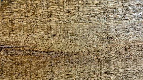 Wood grain texture, background surface with old natural pattern Foto stock