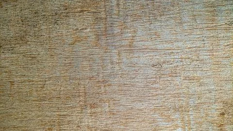 Wood grain texture, background surface with old natural pattern Foto stock
